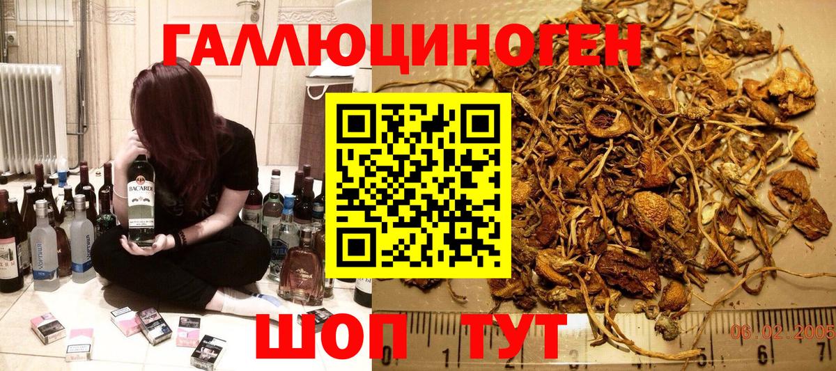 Псилоцибиновые грибы Psilocybe Грязи