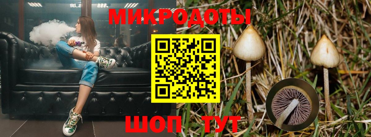 магазин    Вход с VPN  Грязи  Галлюциногенные грибы MAGIC MUSHROOMS 